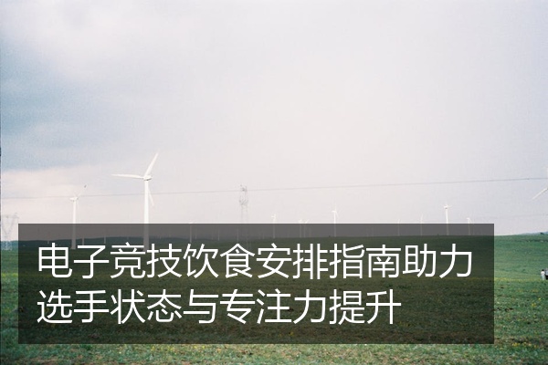 电子竞技饮食安排指南助力选手状态与专注力提升