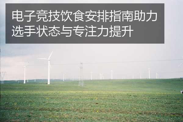 电子竞技饮食安排指南助力选手状态与专注力提升