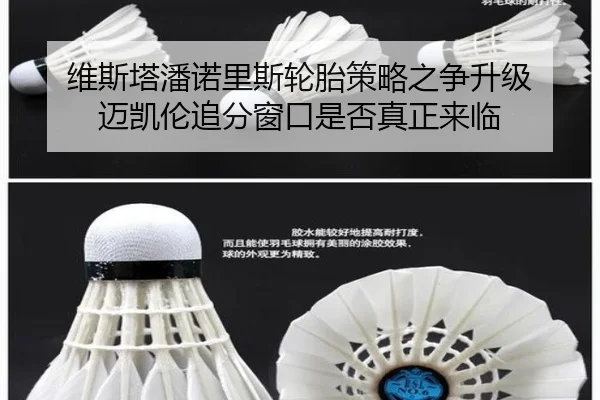 维斯塔潘诺里斯轮胎策略之争升级 迈凯伦追分窗口是否真正来临 | AYX sports